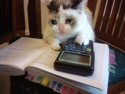Gato chorando com uma calculadora e um livro de matemática em mãos.