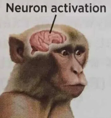 Meme de um macaco com a cabeça cortada para mostrar seu cérebro. Uma seta aponta para o cérebro com a legenda "Neuron activation", usada para representar a compreensão de algo.