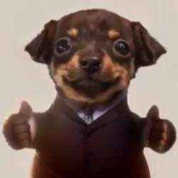 Meme Cachorrinho fofo de terno, sorrindo, com fundo desfocado e fazendo beleza com as mãos (claramente uma modificação de IA).