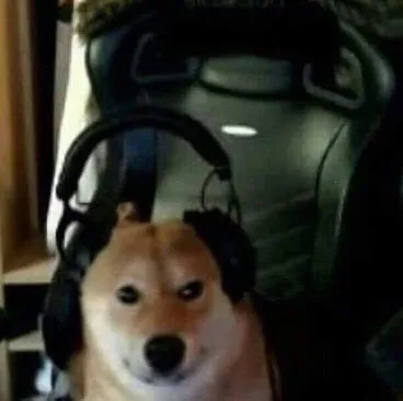 Meme de um cachorro da raça Shiba Inu com uma expressão séria e concentrada, usando um grande fone de ouvido gamer.