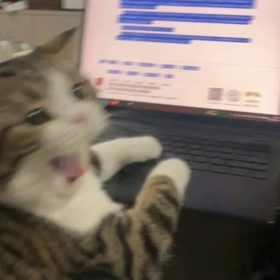 Gato curioso diante de um laptop com tela mostrando documentos ou sites em português.