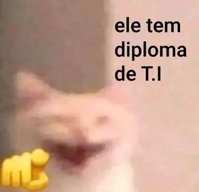 gato rindo e debochando meme