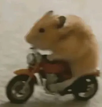 Hamster montado em uma moto