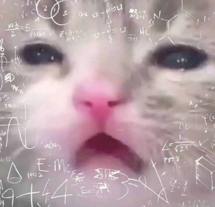 Meme de um gato com olhos lacrimejantes e expressão de desespero, sobreposto por diversas fórmulas e cálculos matemáticos complexos, simbolizando confusão extrema.