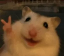 Ratinho branco sorrindo fazendo cara de feliz