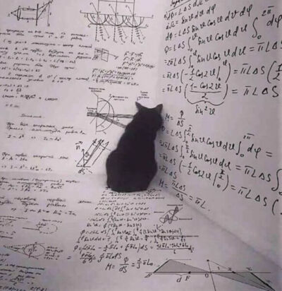 Gato preto sentado em frente a uma parede coberta de equações matemáticas.