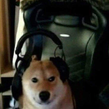 Meme de um cachorro da raça Shiba Inu com uma expressão séria e concentrada, usando um grande fone de ouvido gamer.