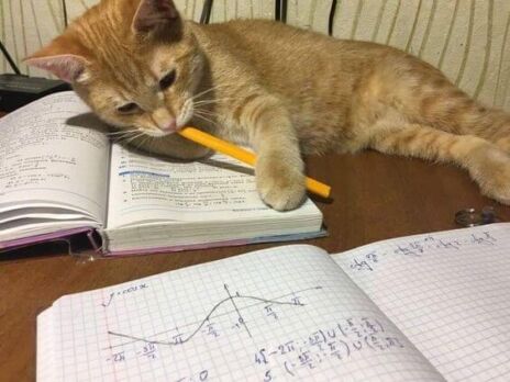 Meme de um gato laranja deitado sobre livros, mordendo um lápis e parecendo confuso ou entediado enquanto estuda matemática. No primeiro plano, há um caderno com um gráfico de função trigonométrica.