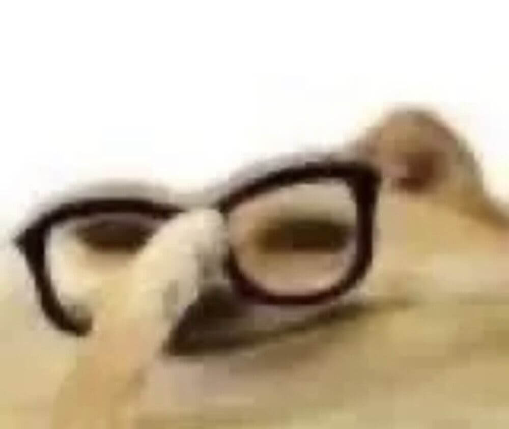 Meme em baixa resolução de um cachorro (estilo Doge) usando óculos de grau e usando a pata para ajustá-los no focinho, sugerindo uma pose de intelectual ou alguém prestes a explicar algo.