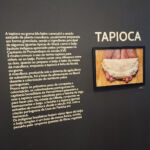 Fotografia de um painel de museu com fundo escuro. À direita, a palavra "TAPIOCA" acima de uma foto de mãos segurando o alimento. À esquerda, um texto explicativo detalha a extração do amido da mandioca e sua importância histórica desde o século XVI.
